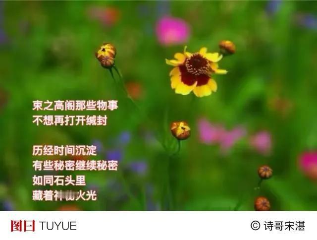 今日去山里
采撷几滴清纯泉声
归来装进花瓶
．
如果案头有尘灰
拿泉声刷洗
心头
