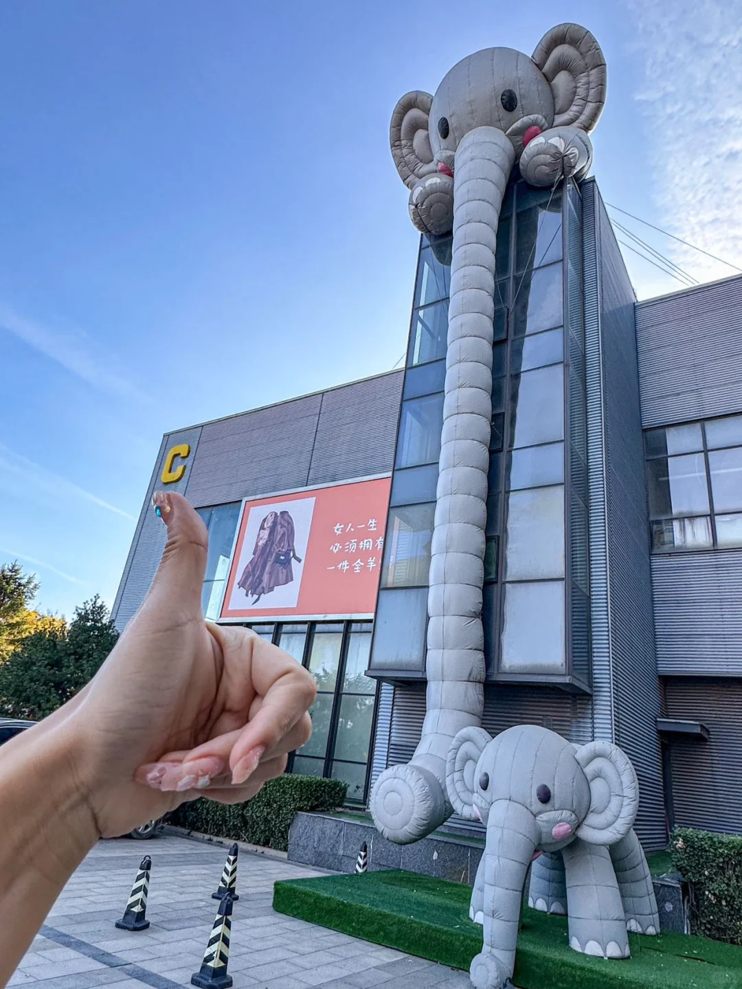 天津的冬天怎么少的了来这儿一趟呢❓❗