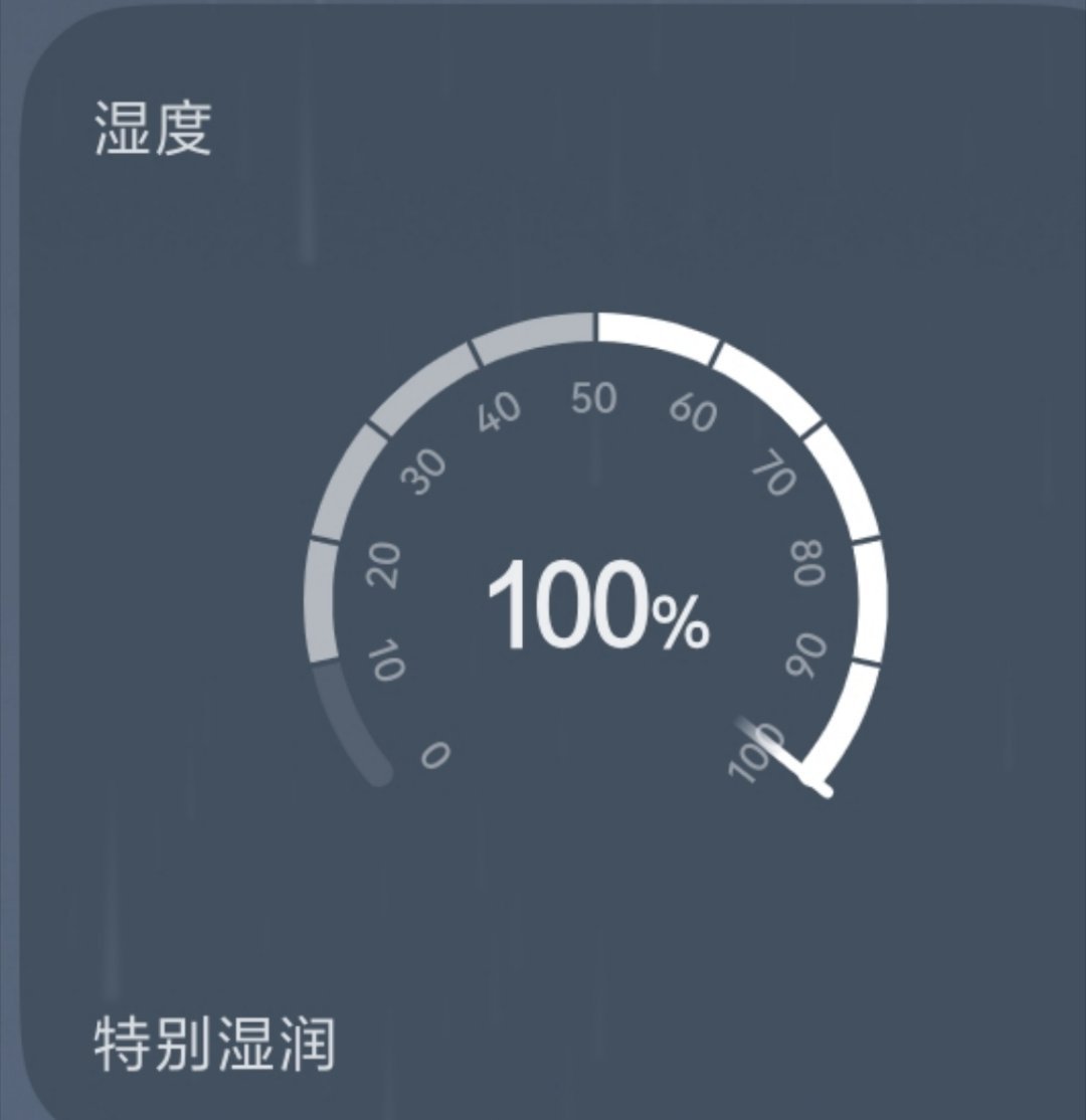 早上好！这雨什么是停，这湿度要受不了了 