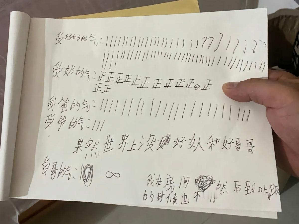 《儿子的控诉清单》 ​​​