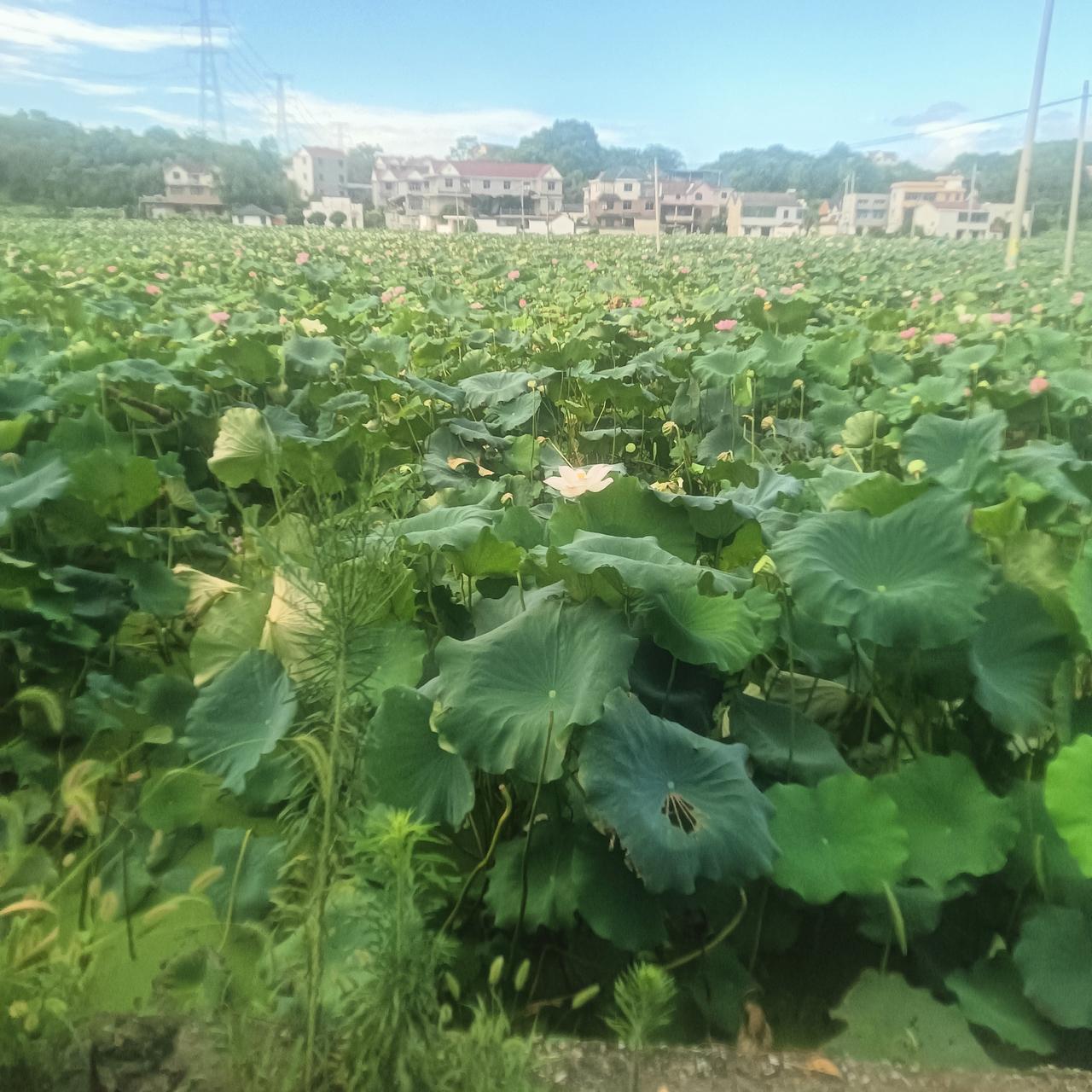 很开心我们出现在彼此的生命里，
成为彼此很重要的人，
离不开也不想离开的人。
可