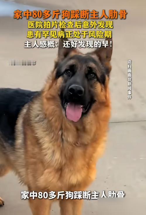 今年高考录取分数两电一邮分数真高，电子科大不用说了985，分数超过了北邮，成都虽