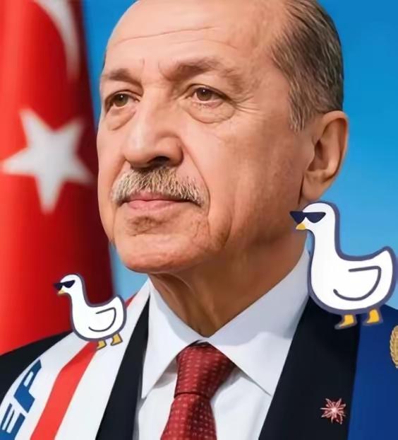 土耳其这次可真算盘打得响，以为重施故伎，就能像20多年前卡着海峡要价那样，让中国