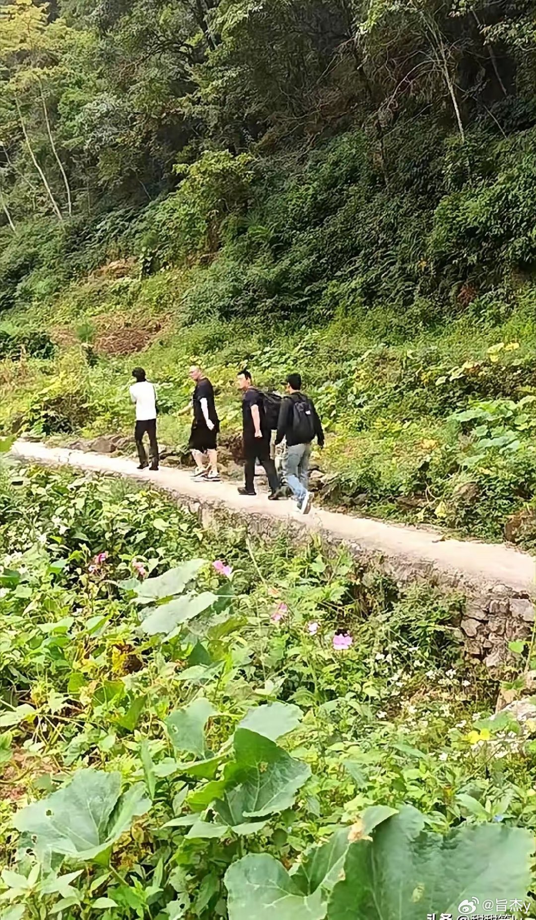 王一博被拍到在河南周口玉米地边遛弯，身边仨壮汉扛着锄头，网友笑疯：唐僧带仨八戒巡