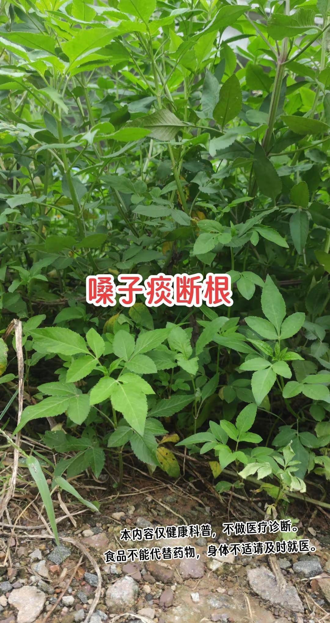 大心脏尽显！深陷劣势依旧稳扎稳打，绝境完成逆袭翻盘，孙颖莎用实力诠释国乒风骨，看