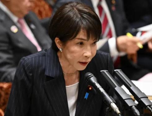 日本国内对海外派兵有着严格的法律约束，自卫队的海外行动必须在和平宪法与相关安保法