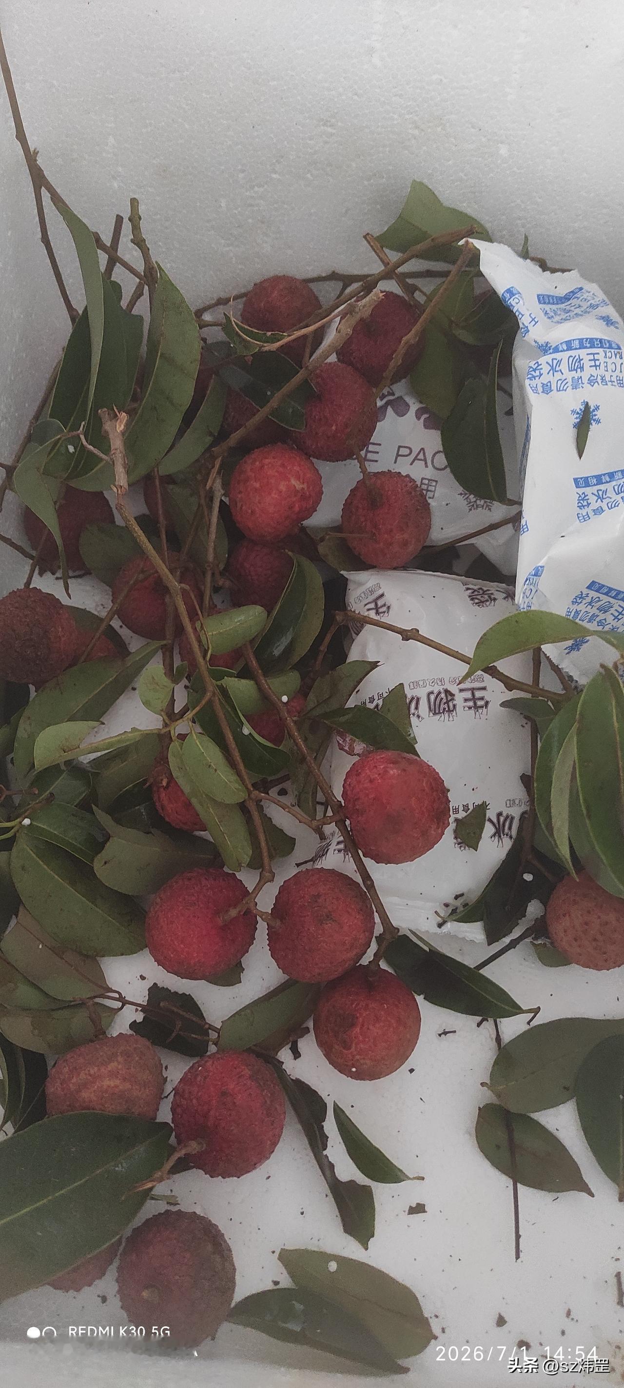 (原创）鲜荔枝
朋友的朋友寄给了朋友鲜荔枝，朋友分成了几份给朋友。
每年这个时候