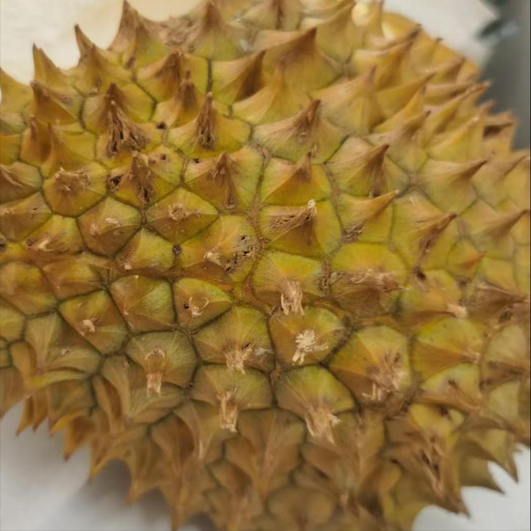 儿子来了，我的激动还在进行中，儿子到后不声不响的样子，让我这激动一下子悬在半空，