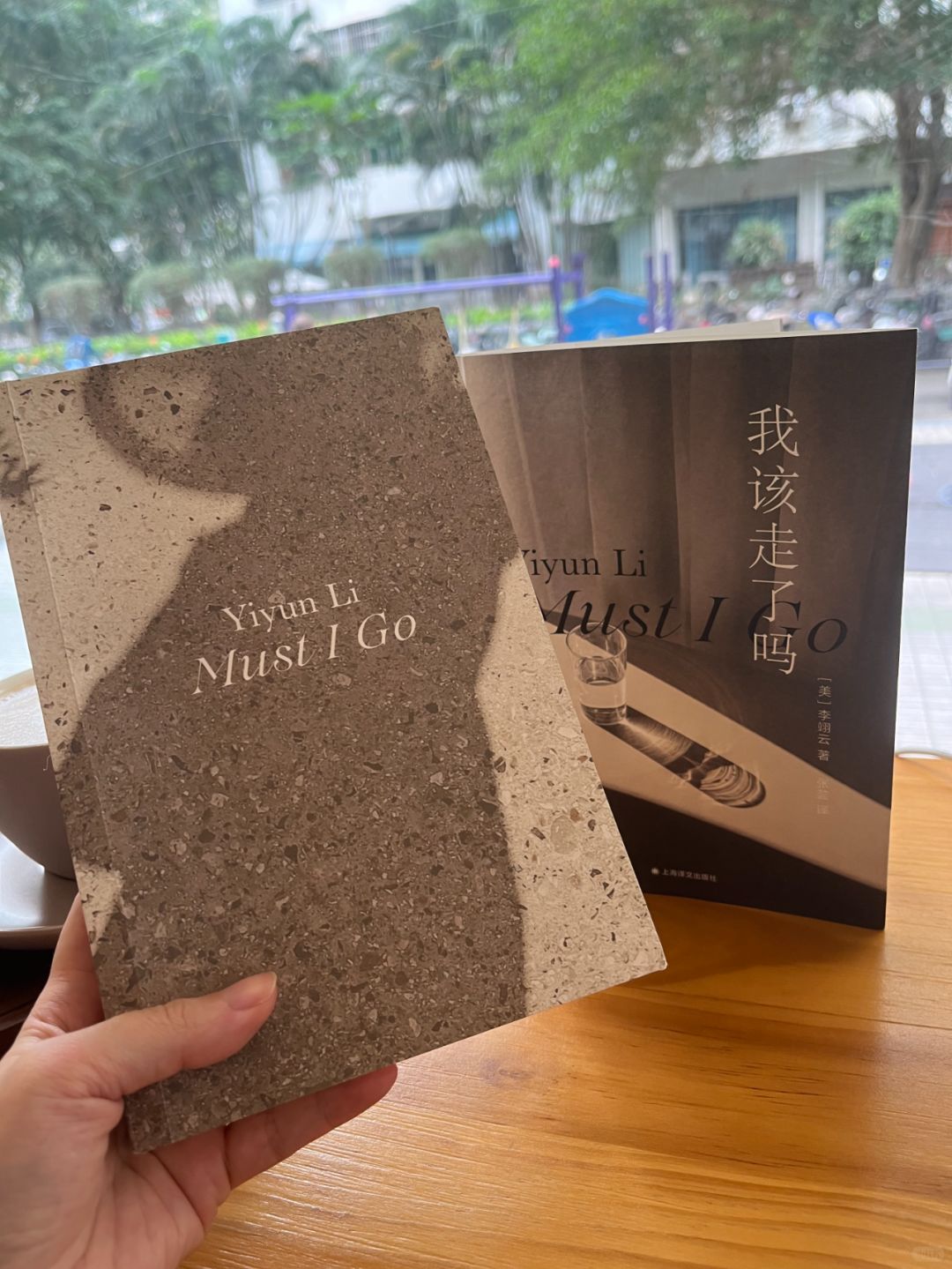 读李翊云的日子，一段卡壳的时光