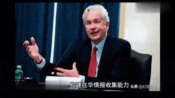 美国刚说要在华建立情报收集能力，紧接着上海市公布招外国人入公务员！想想乌克兰聘用