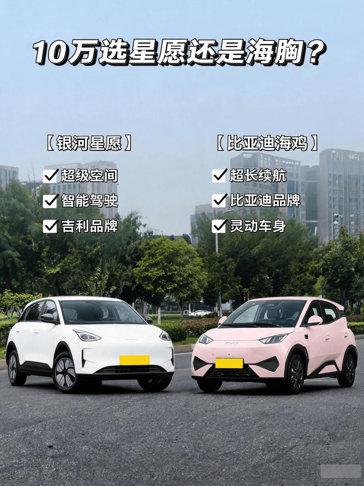 10万选星愿还是海鸥？
表妹最近跑了两家店把这俩车都试驾试乘了下，本来预算卡死1
