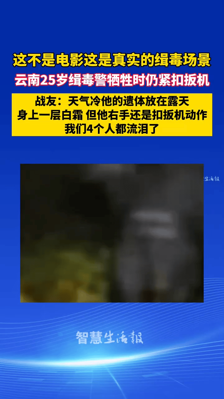 我有种强烈的预感，
一切的会回归正轨，
人民日报喊出
零容忍，
哪是一句口号啊！