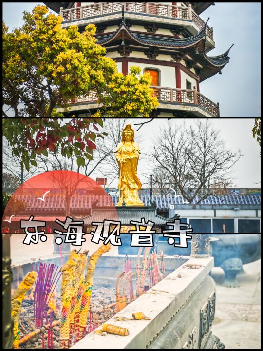 上海靠海寺庙｜东海观音寺🏯