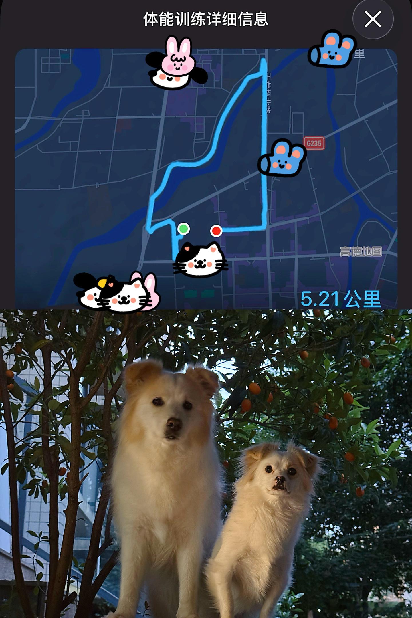 打卡 