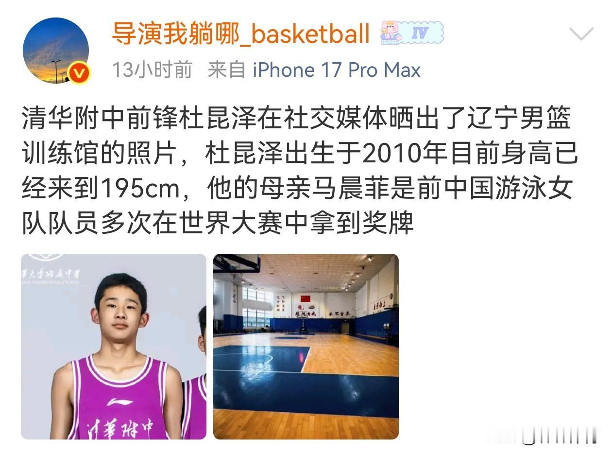 真希望杜昆泽能够加盟辽宁男篮青训，这样当他上升到一线队的时候，杜峰指导坐在场下，