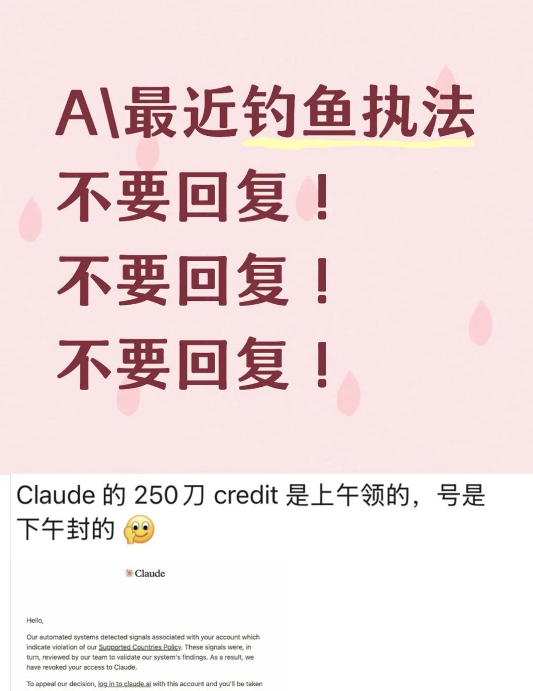 警惕 A\钓鱼执法，不要领鸡蛋！
Anthropic 最近又开始钓鱼执法了
不要