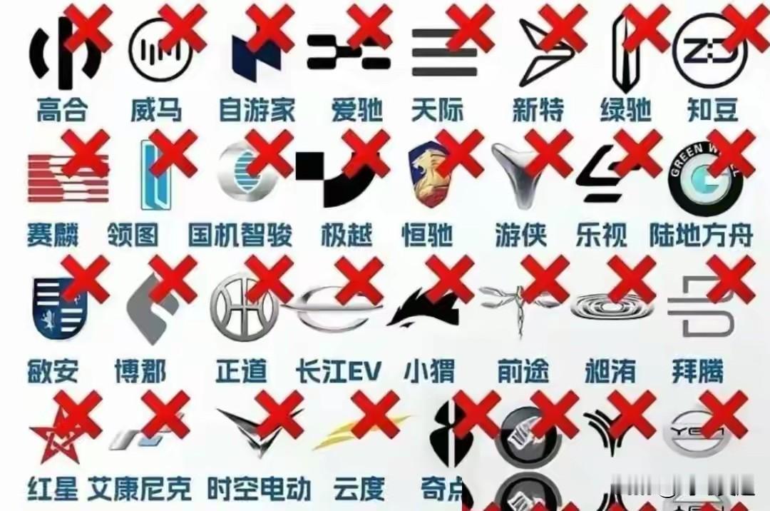新能源汽车品牌开始加速淘汰！
如今新能源汽车品牌已经开始加速淘汰阶段，可以看出一