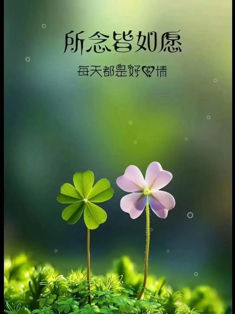 上联:雨落千山净，求下联心惬万事妙