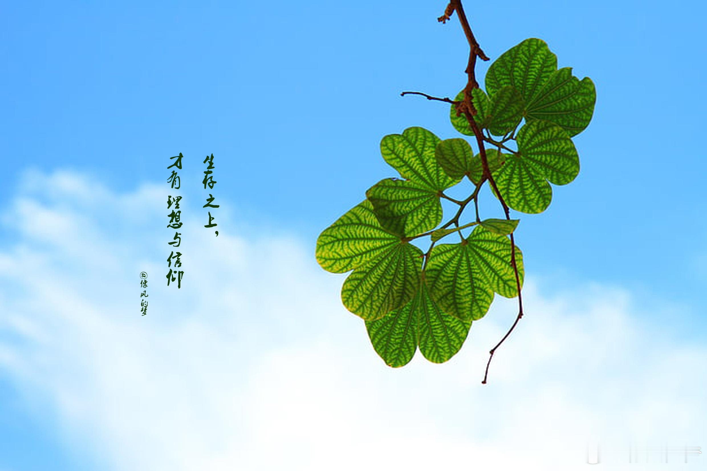#人生微语[超话]# 1.世上没那么多秘密，也没那么多问题，所有的一切疑虑，皆来