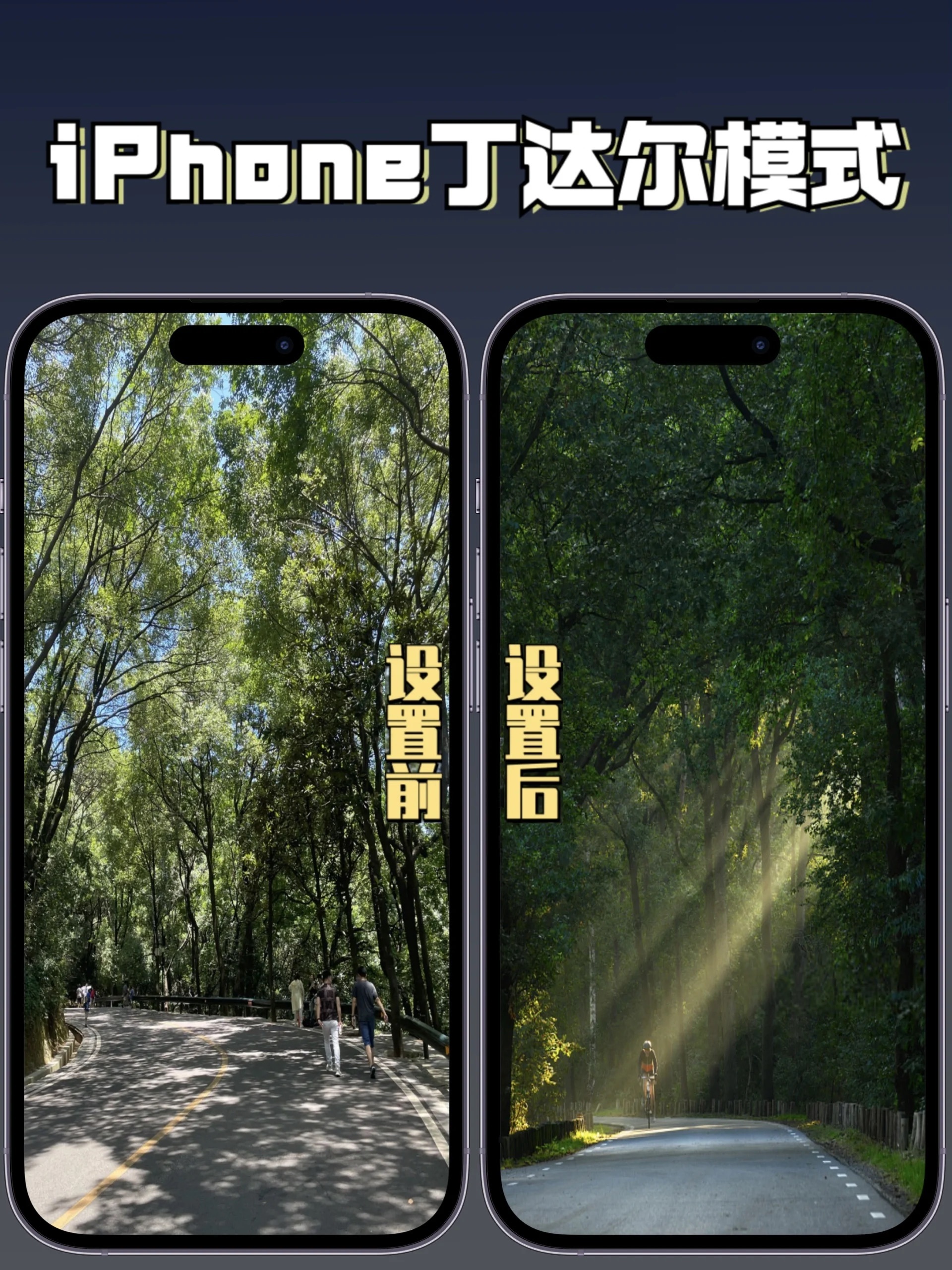 iPhone丁达尔模式，真的超好看 ​​​