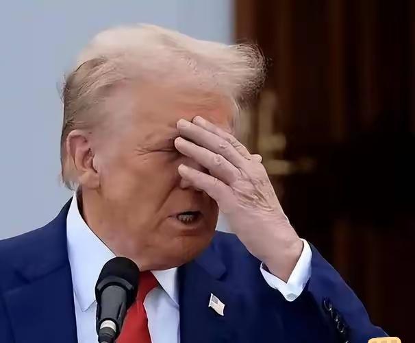 当地时间1月21日，美国总统特朗普在瑞士达沃斯世界经济论坛期间，正式启动其力推的