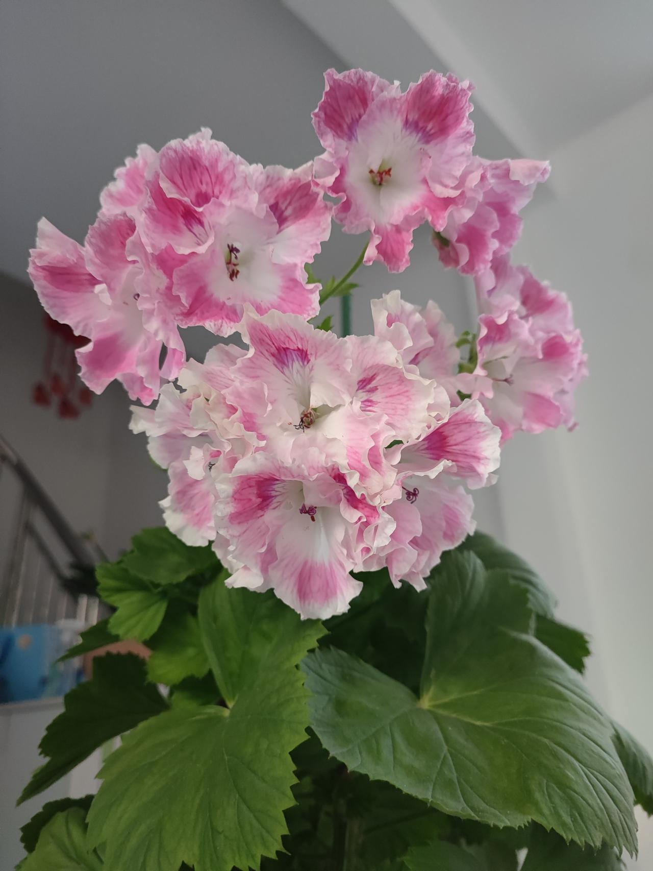 小姑子对教育孩子有一套
小姑子就一个姑娘，
家里做着生意，
三处生意大厅，
姑娘