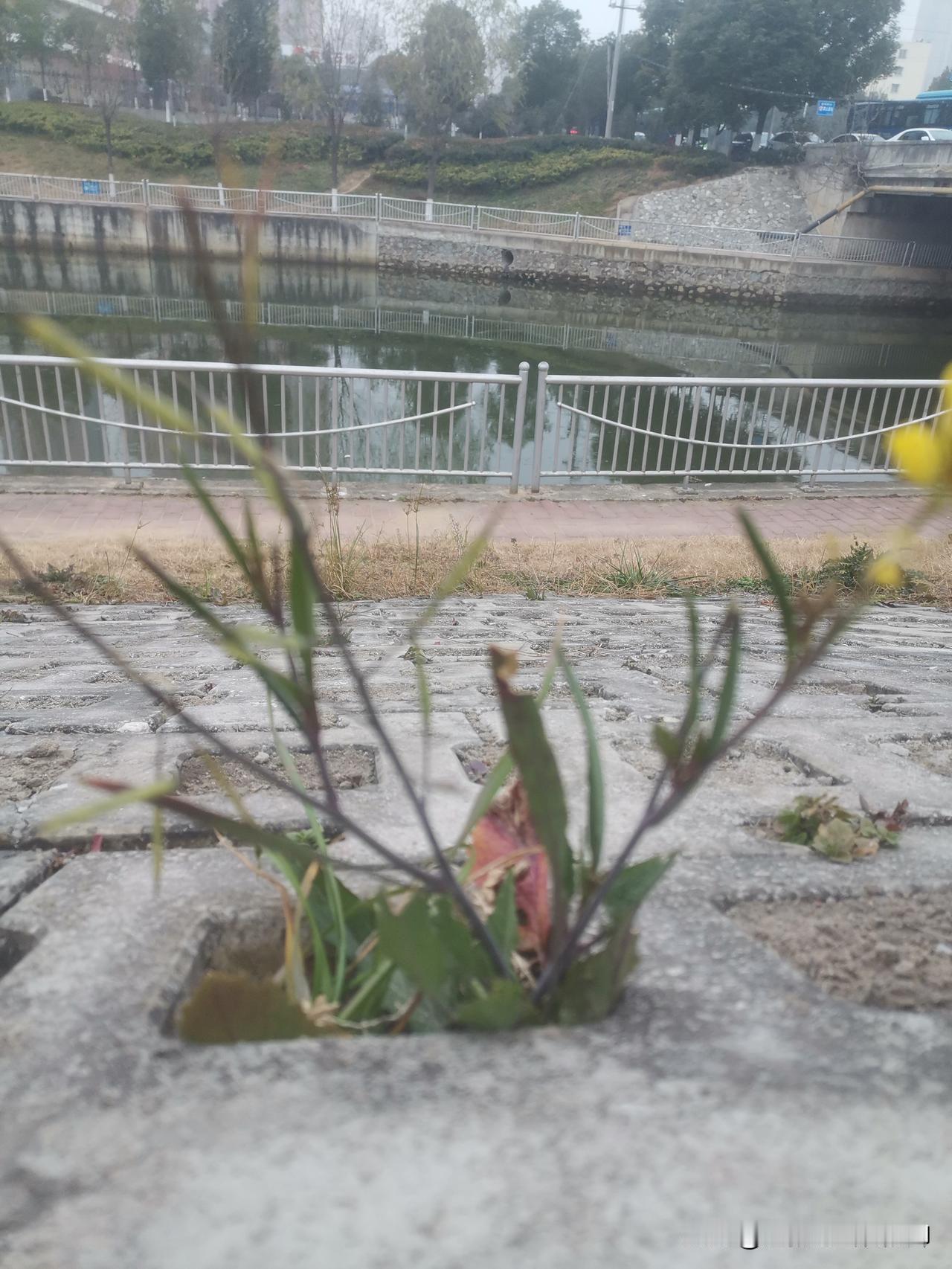 收入增加，生育率就能回升吗那可不一定。医疗费用问题、教育费用问题、高额彩礼问题、