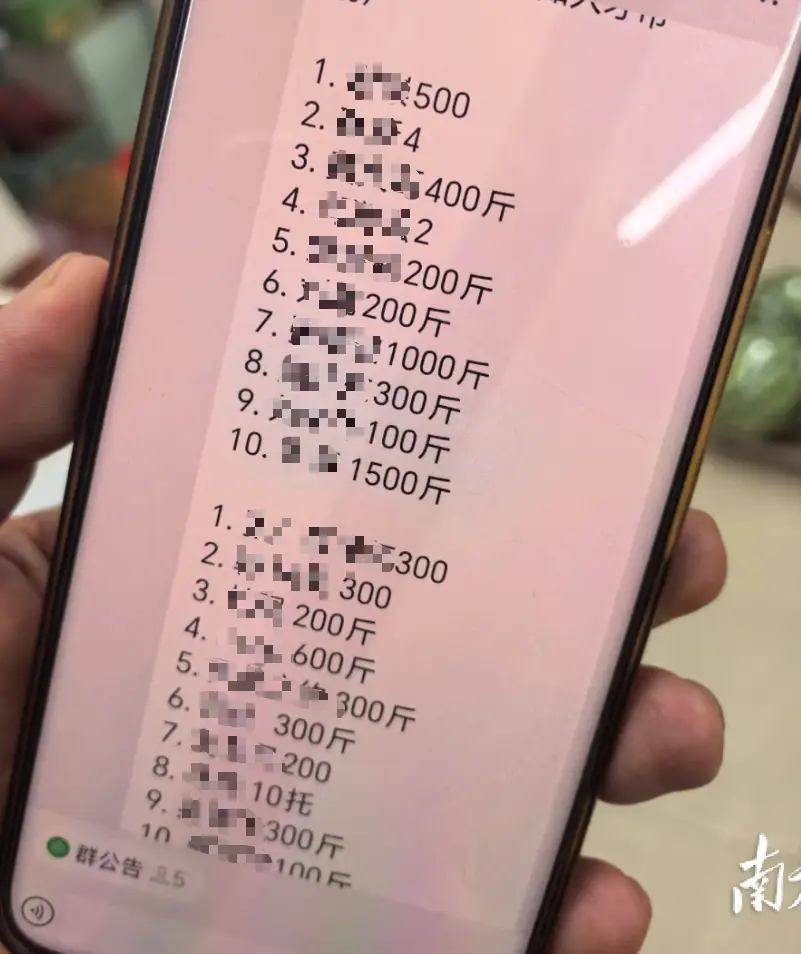 #广州市民采购55万斤河南滞销西瓜#【南都快评：河南西瓜滞销，乡情与流量共同撑起
