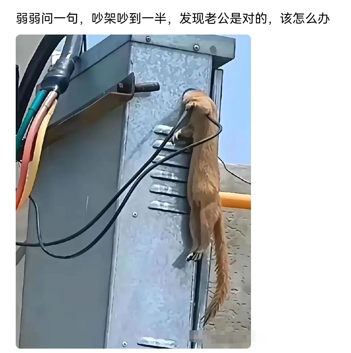立刻扒小肠翻旧账转移视线。