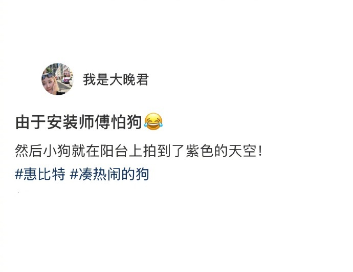 当安装师傅怕狗时[doge] ​ ​​​