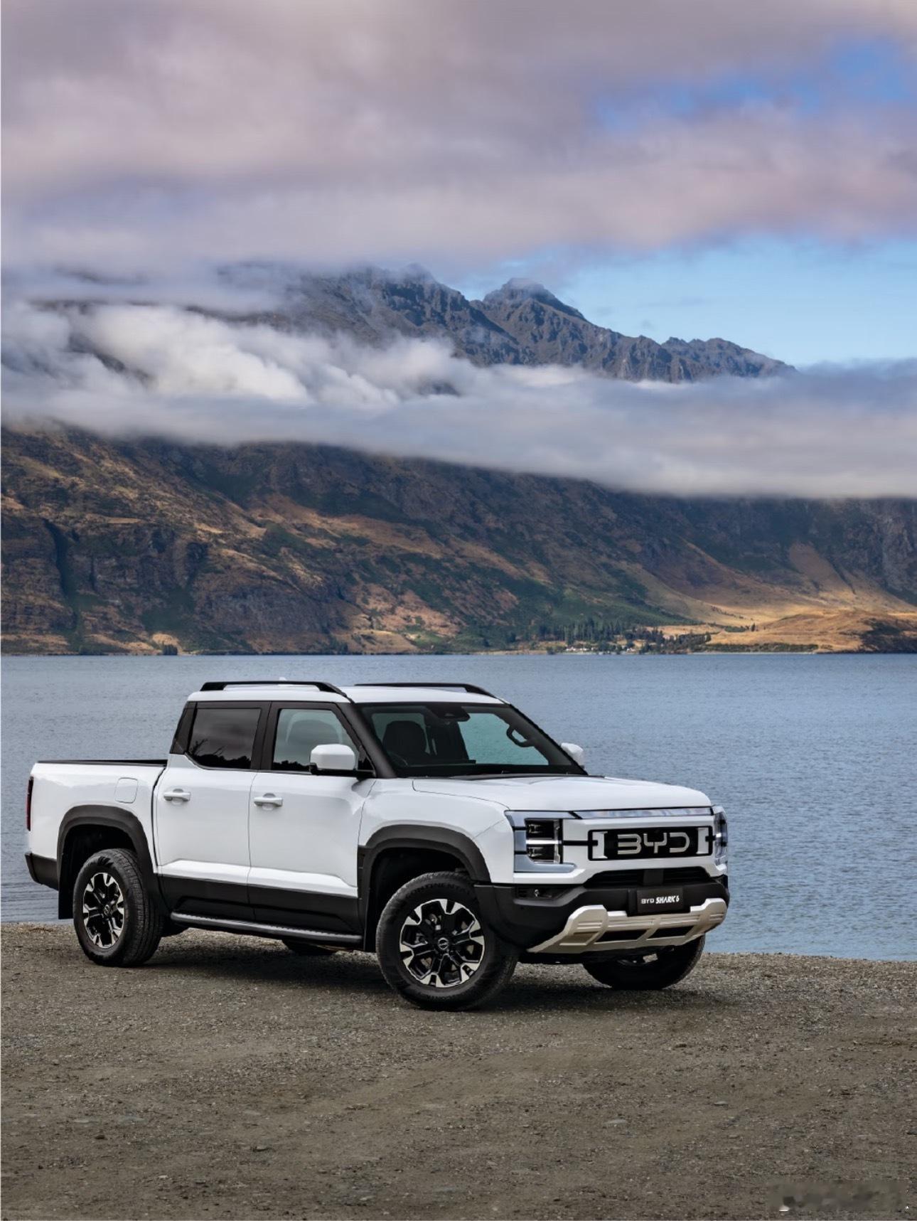 鲨鱼皮卡白月光回国了一张准生证，宣告未来的中国新能源皮卡顶流鲨鱼皮卡正式登顶。工