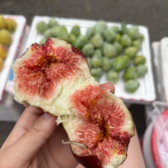 好爱无花果