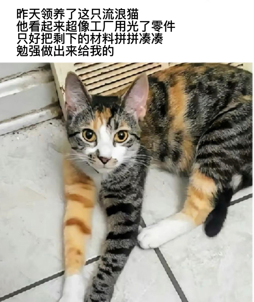 拼多多#今日memes# //#新年快乐漫游指南# //#转发接龙开新年# ​​