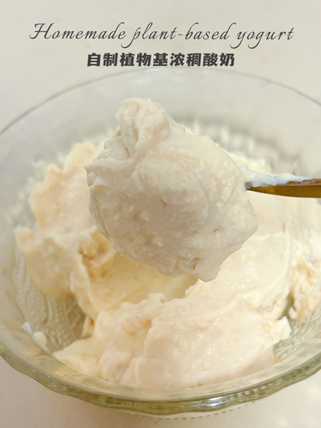 ㊙️豆浆粉做酸奶⁉️自制植物基酸奶‼️一口糊嘴