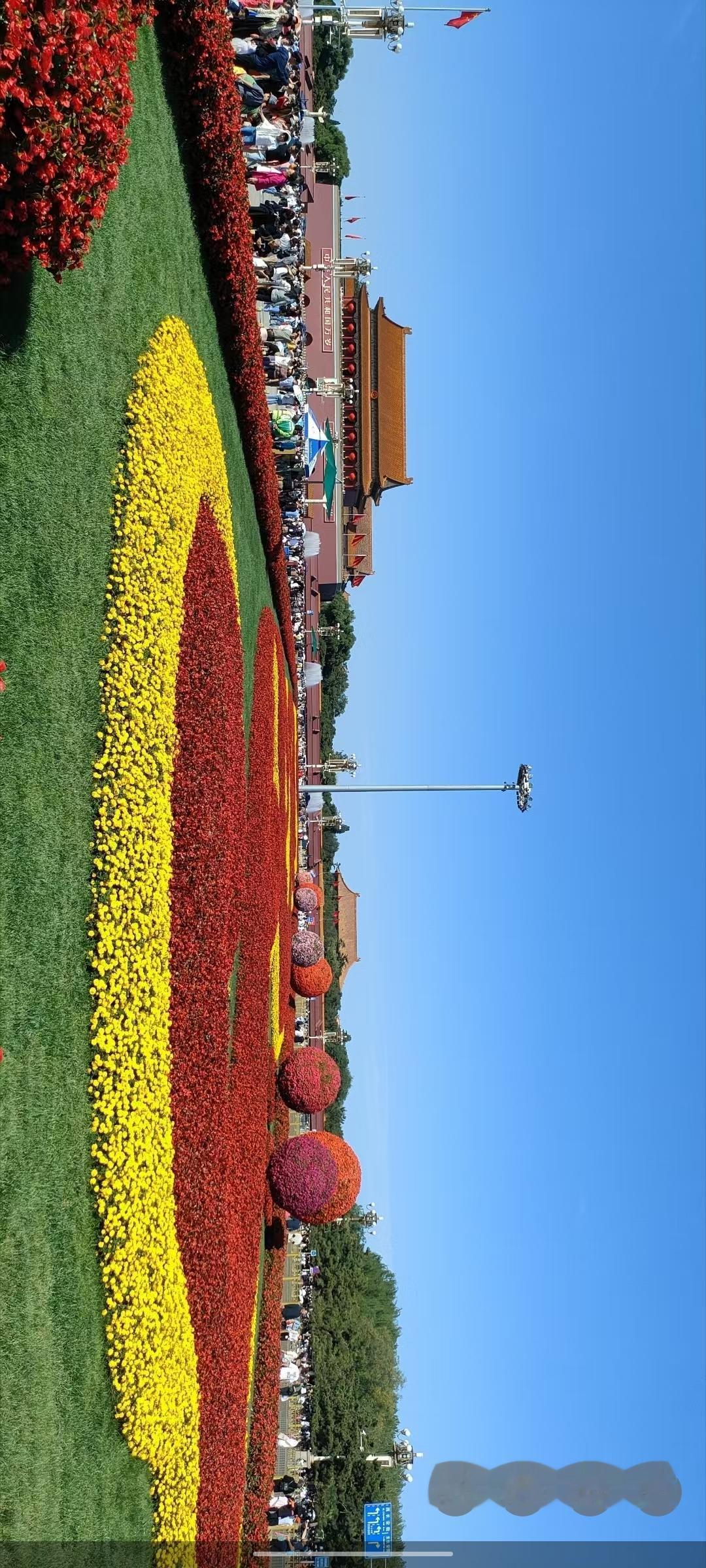 天安门广场的绚丽花坛，红黄相间，美不胜收！🌸🌼
