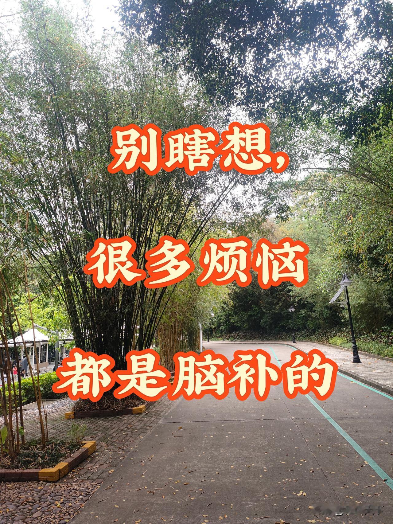 人到中年，一半烦恼，全是自己脑补出来的
 
 成年人80%的痛苦，都不是事造成的