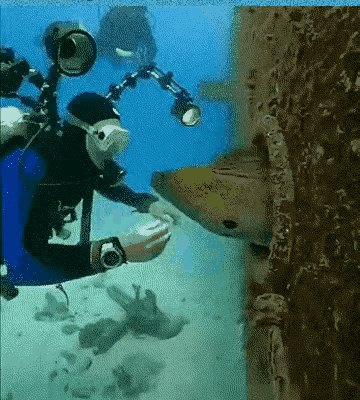 还好，
这个一看就知道是AI。