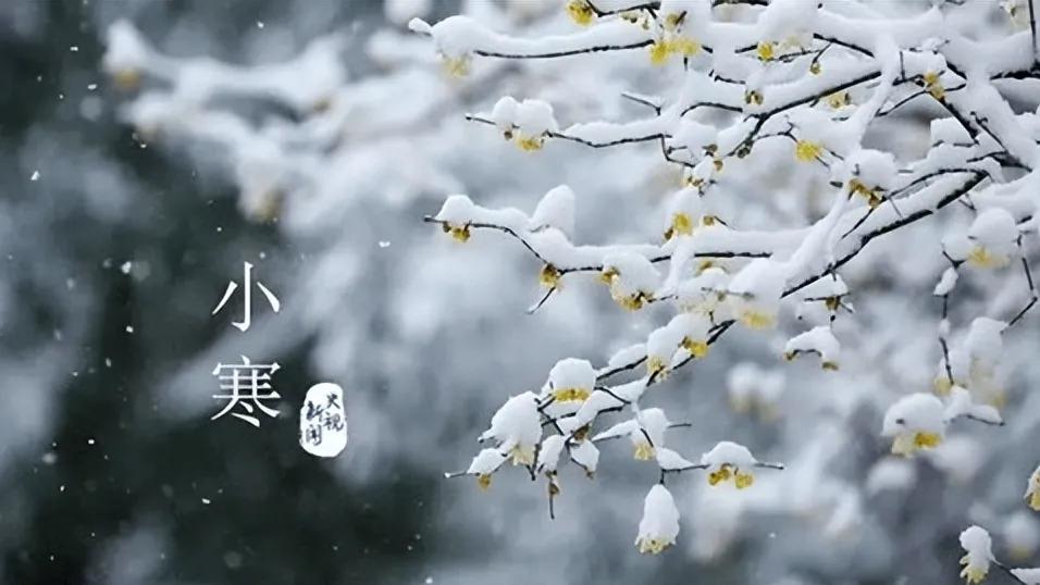 小雪

文／李海平

今逢小雪方觉寒
温壶老酒敬流年
节点轮替匆匆过
冬雪雪冬快