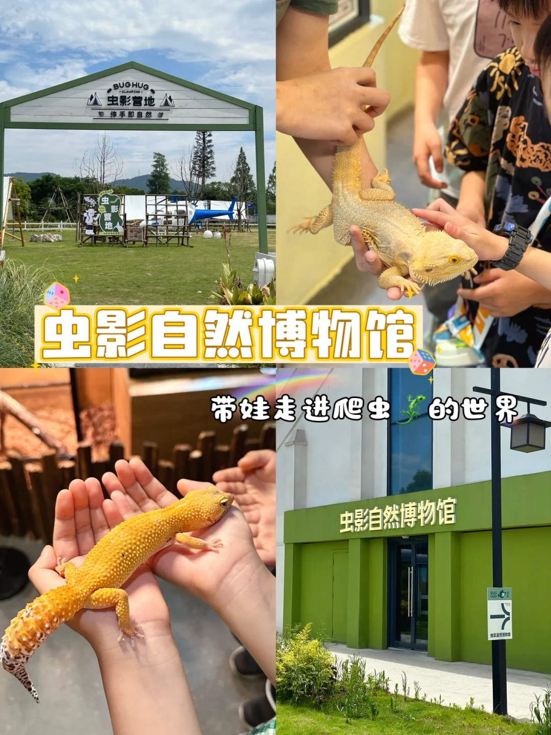 暑假遛娃好去处！就来虫影自然博物馆吧！
