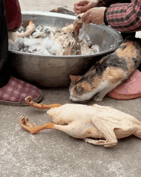 下次开吃能带带我不？