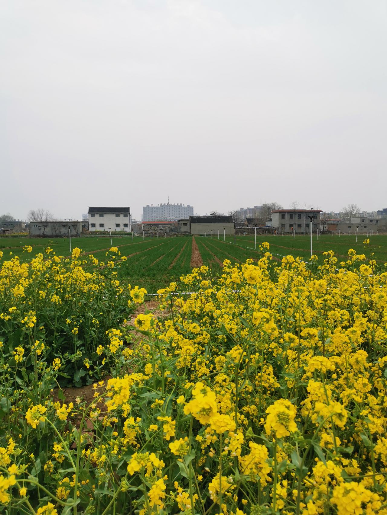 现在老年痴呆病人很多。老年痴呆有人体器官上的改变，比如脑萎缩。究其根本，还是人心