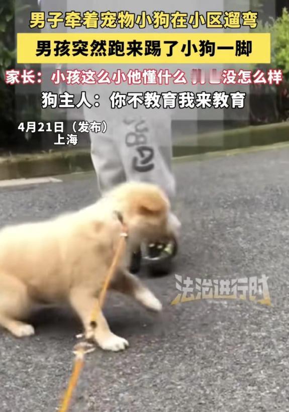 为什么狗牵了绳还被踢？4月21日上海某小区，男子遛狗遇男孩踢踹，家长一句“他不懂