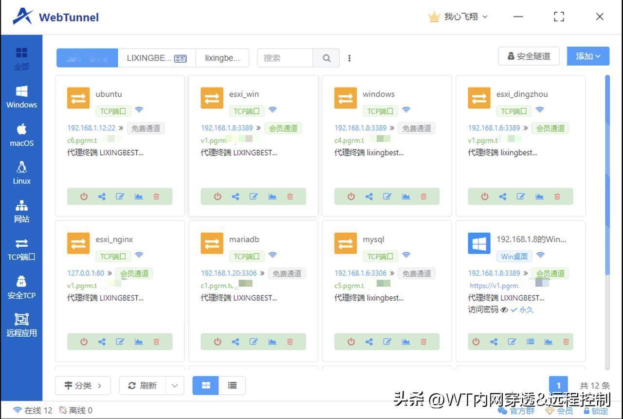 可曾想过内网穿透流媒体网站？[白眼]

没错，就在刚刚，WebTunnel 内网