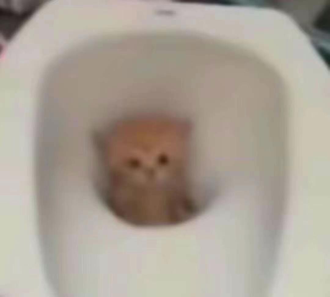 - ​​​