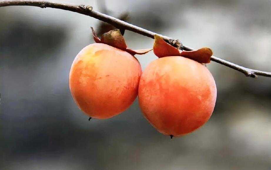 夫妻相处一辈子，不论是年轻时候的如漆似胶，还是吵吵闹闹，越老越感觉谁也不那么待见