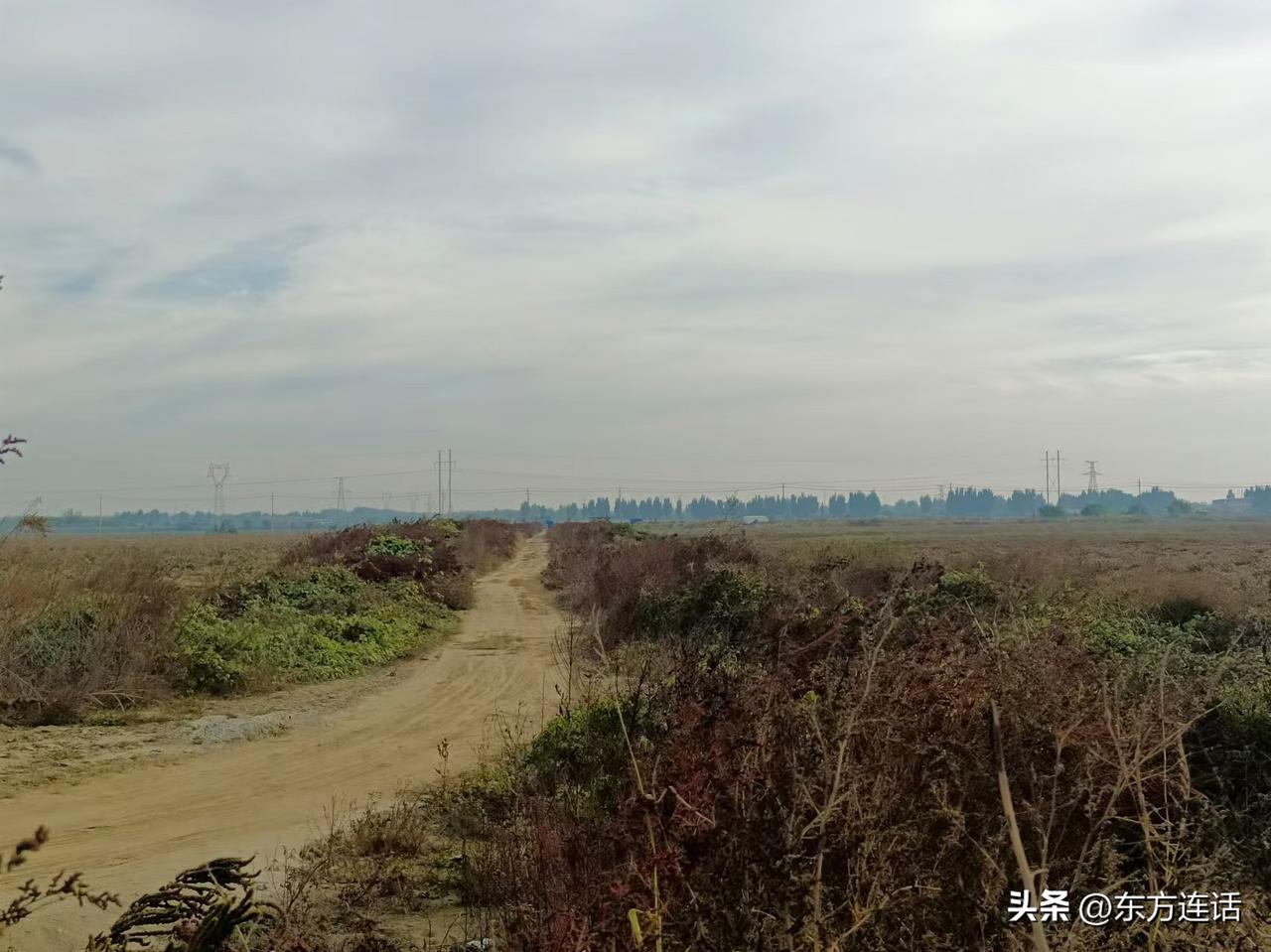 #秋日生活记录#季节笔记：在深秋的大地上行走
梁东方
周日的时候，我和八十八岁的