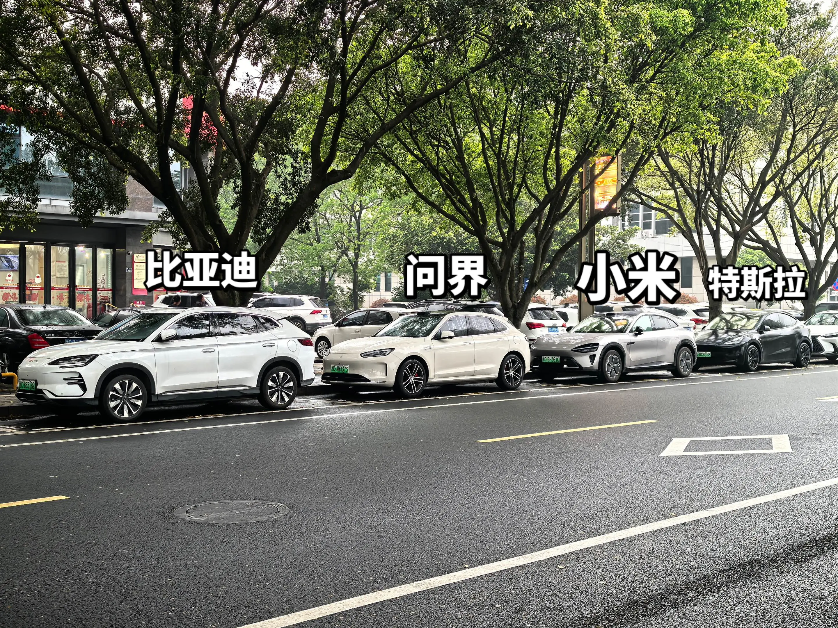 新能源最严厉的父亲