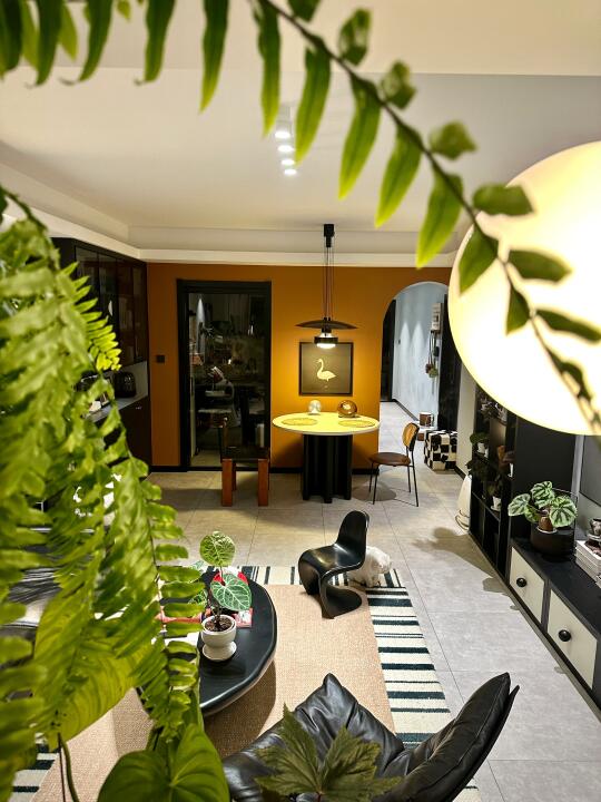 把家变成森林🌳与植物一起生活，松弛且治愈