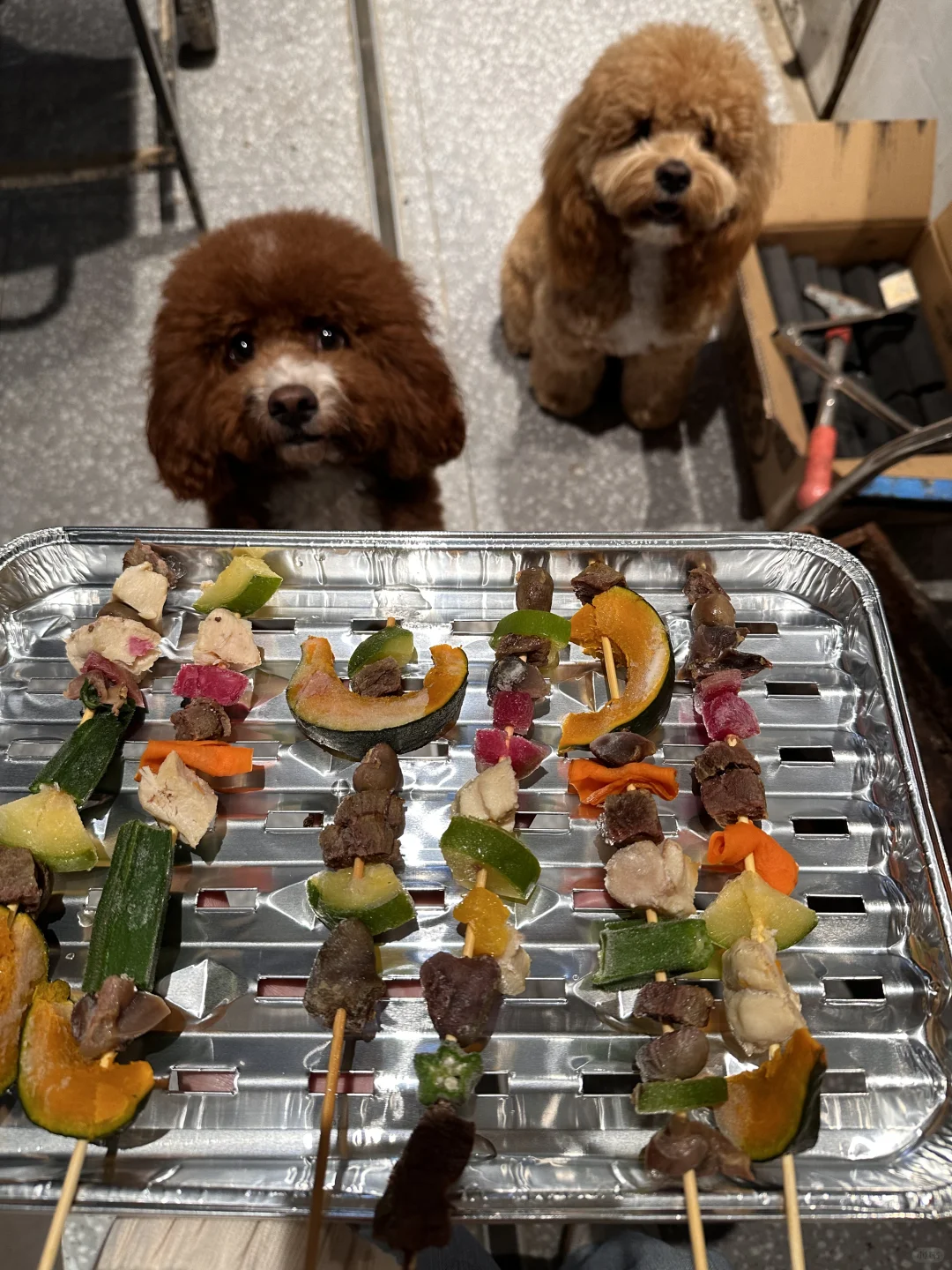 让我来看看是谁要吃烤肉