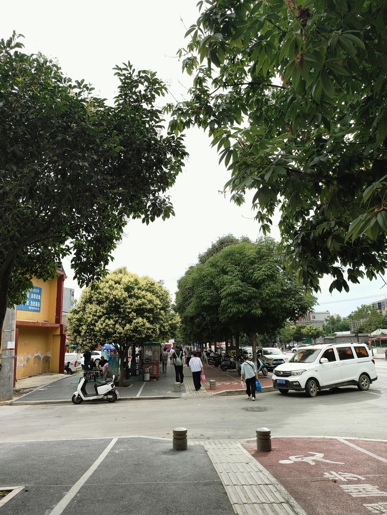 记录我的2026街头绿树成荫，寻常街巷藏着小城温柔。行人缓步，车辆缓行，枝叶筛下
